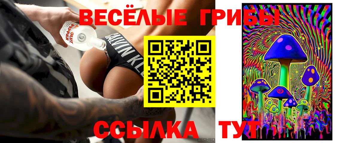 Псилоцибиновые грибы мицелий Луховицы